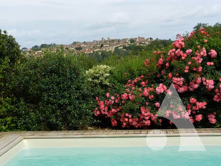 propriété de 3 gites avec vue exceptionelle sur la bastide de domme