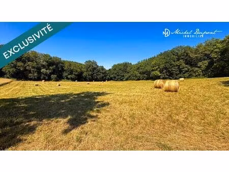 terrain de 11 852 m² avec vue dégagée  possibilité de créer plusieurs lots à bâtir