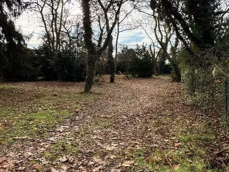 terrain mont de marsan 1066 m2