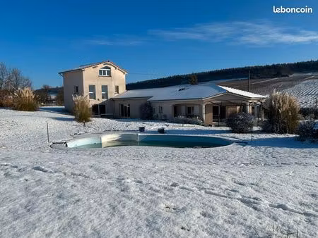 belle maison au milieu des vignes (10 min mâcon  50min de lyon  1h45 genève)