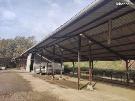 hivernage  gardiennage