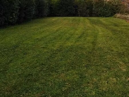 cherche location terrain agricole