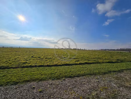 terrain constructible de 6500 m2