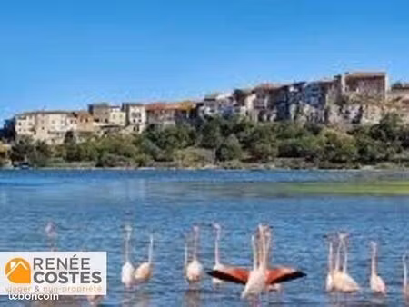 maison en viager 7 pièces 290 m²