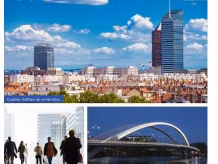 achat : appartement (69140)