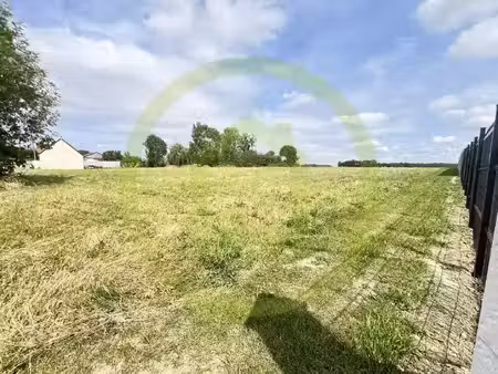 terrain