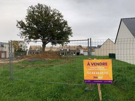 vente terrain à trélazé (49800) : à vendre / 318m² trélazé