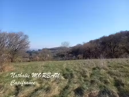 dpt saône et loire (71)  à vendre reclesne terrain avec vue dégagée