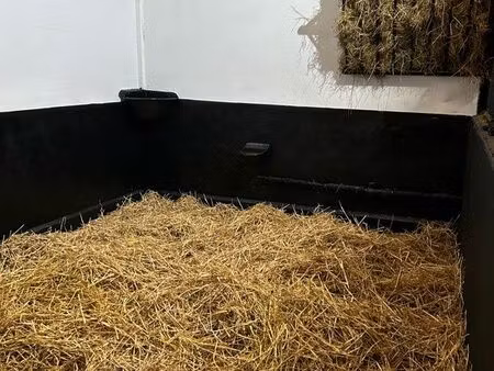 location box et pré