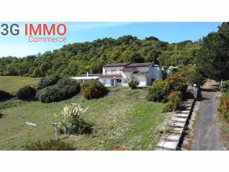 vente locaux professionnels 550 m² à aiguillon (47190)  189 000 €