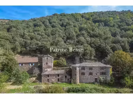 au sud de la lozère  dans la zone coeur du parc national des cévennes  un château chargé..