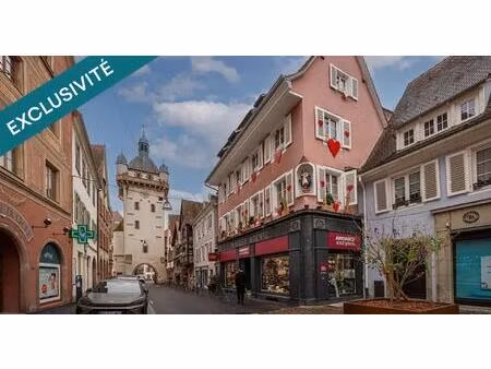 terrain à bâtir de 469 m² à sélestat – quartier des maraîchers