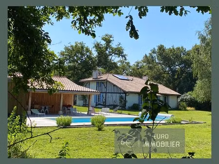 luxey - 2 habitations - piscine - 8 chambres - 4000m2 terrain -