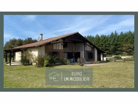 propriété 2 habitations - maison - landaise - piscine - ecurie