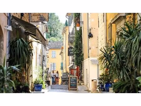 vente commerce 1 pièce 19 m² valbonne (06560)