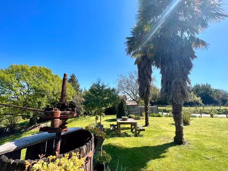 vente maison 10 pièces 210 m² à saint-palais (64120)  338 000 €