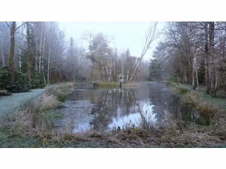 vente maison 16 pièces 382 m² à hattigny (57790)  475 000 €