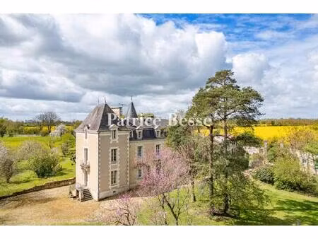 dans un village  à 30 min de poitiers  une maison de maître  deux gîtes et des dépendances