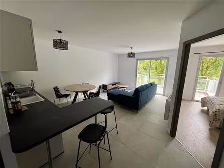 human immobilier pau