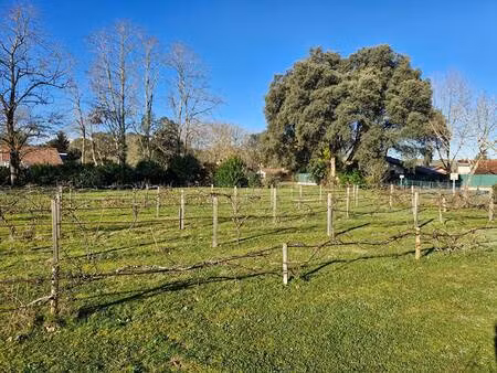 terrain constructible viabilisé à vendre