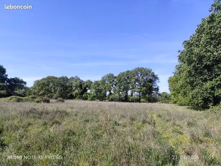 terrain 6500 m2