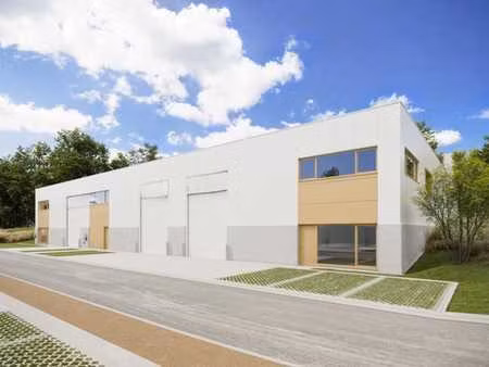 ensemble semi-industriel neuf de 1620m²