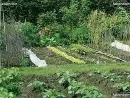 jardin potager location