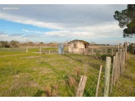 terrain pour chevaux