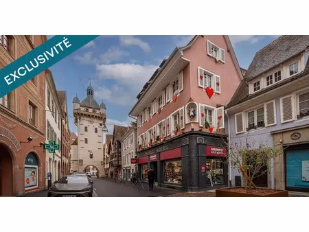 vente terrain 469 m² à selestat (67600)  132 000 €