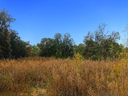 terrain constructible viabilisé à vendre