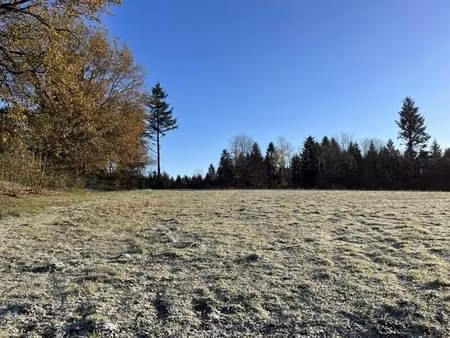 terrain constructible viabilisé à vendre