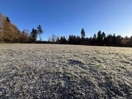 terrain constructible viabilisé à vendre