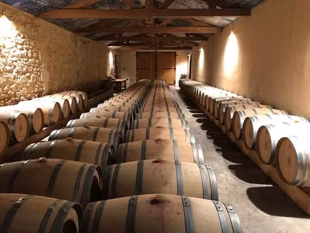 vente château 1014 m² à blaye (33390)  2 288 000 €