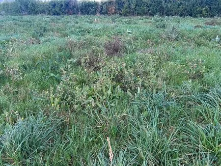 terrain constructible viabilisé