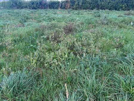 vente terrain à saint-pol-de-léon (29250) : à vendre / 626m² saint-pol-de-léon