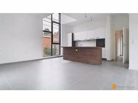 grand appartement 1 chambre + terrasse + parking