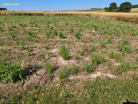 terrains constructibles