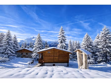 chalet 4 chambres - vue panoramique