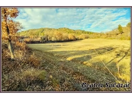 a vendre à 10mn de digne-les-bains  terrain à bâtir de 16 523 00 m² mezel (04)