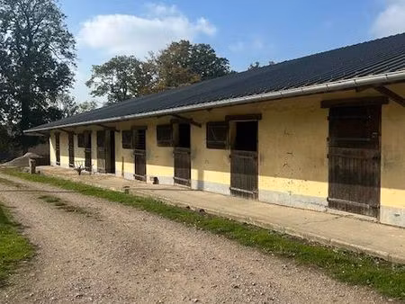box(s) chevaux à louer avec ou sans herbage
