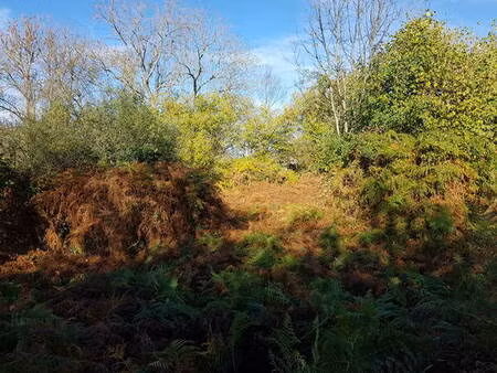 terrains en zac de nébouzat