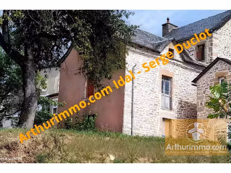 vente maison 169 m² saint-martin-de-lenne (12130)