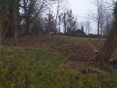 vente terrain 784 m² naves (19460)