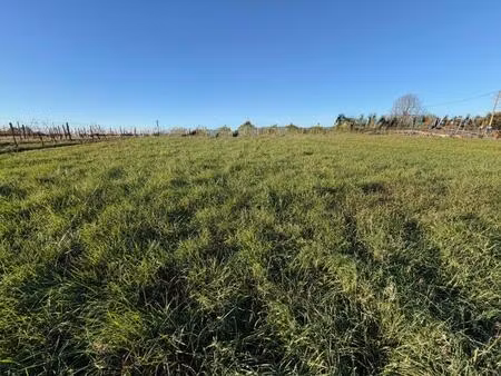 terrain à bâtir à capian (33550)