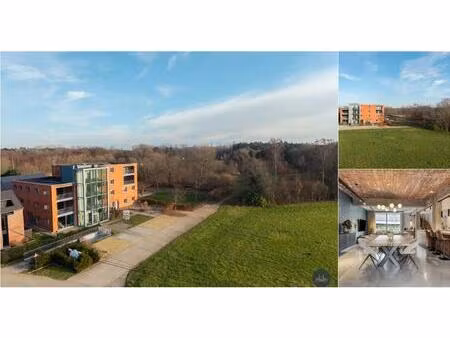 duplex à vendre à grotestraat 196/bus 2 196 werchter (rbu95058)