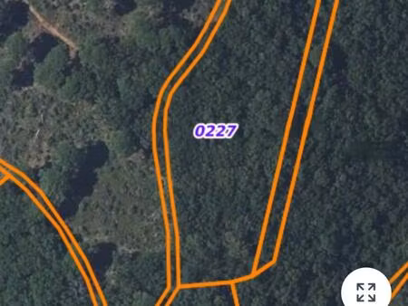 vente terrain 4895 m² sabran (30200)