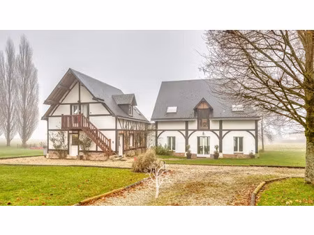 vente maison 7 pièces 250 m² à saint-lucien (76780)  540 000 €