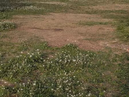 vente terrain à fouesnant (29170) : à vendre / fouesnant