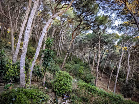 villa 6 pieces dans la foret des pierres blanches a sete