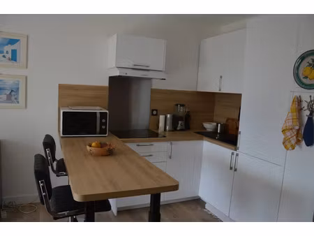 location meublée appartement 1 pièce 29.35 m² à rogliano (20247)  550 €